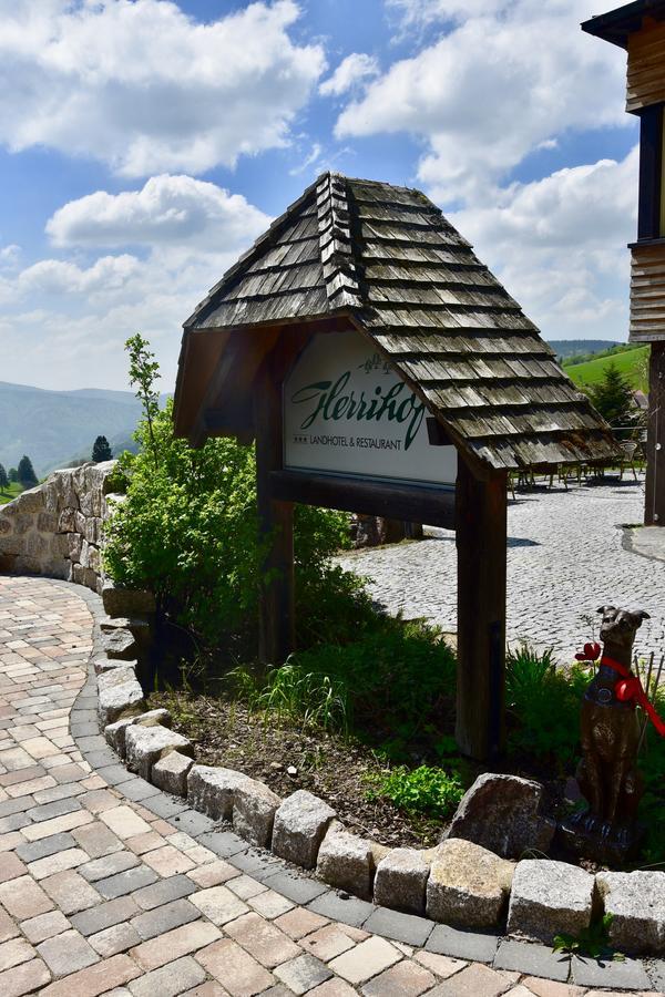 Hotel & Chalets Herrihof Тодтнауберг Екстериор снимка